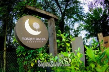Bosque da Lua