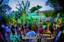 Bosque da Lua