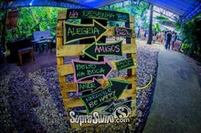 Bosque da Lua