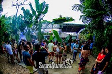 Bosque da Lua