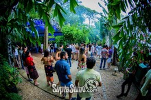 Bosque da Lua