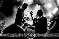 Trampo Bar