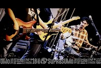Viper Rock Bar