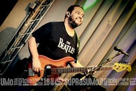 Viper Rock Bar