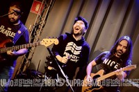 Viper Rock Bar
