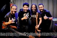 Viper Rock Bar