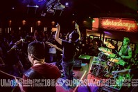 Buxixo bar