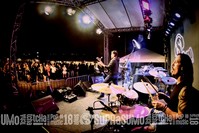 Park Party II